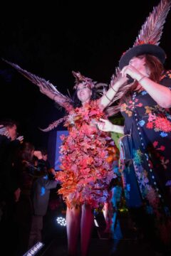 Photos by Michael Troutman (240/280)